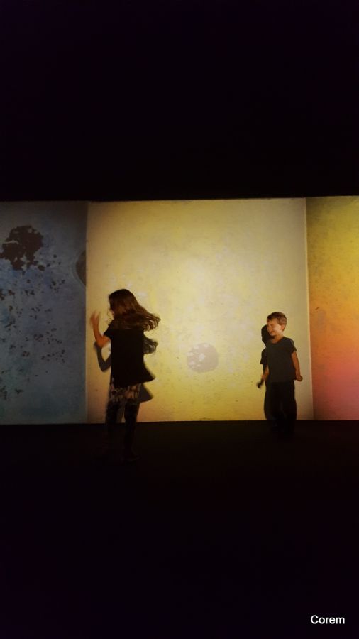 משתוללים בצבע וצל במוזיאון טייט מודרן
